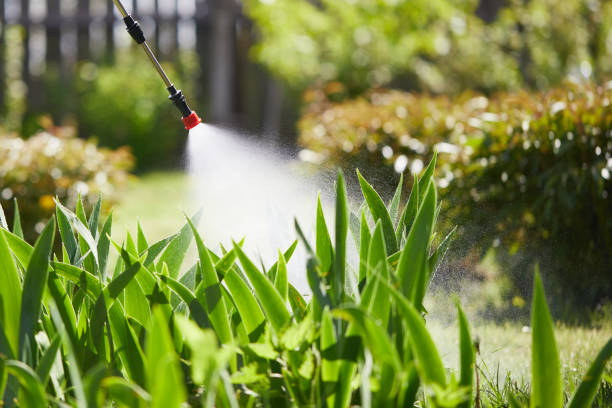 Tamper-Resistant Bait Stations for Rodents in Running Springs