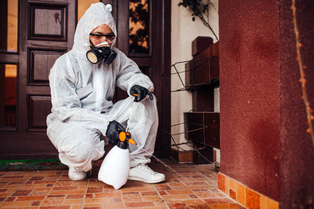 Attic and Crawl Space Rodent Treatment in Running Springs